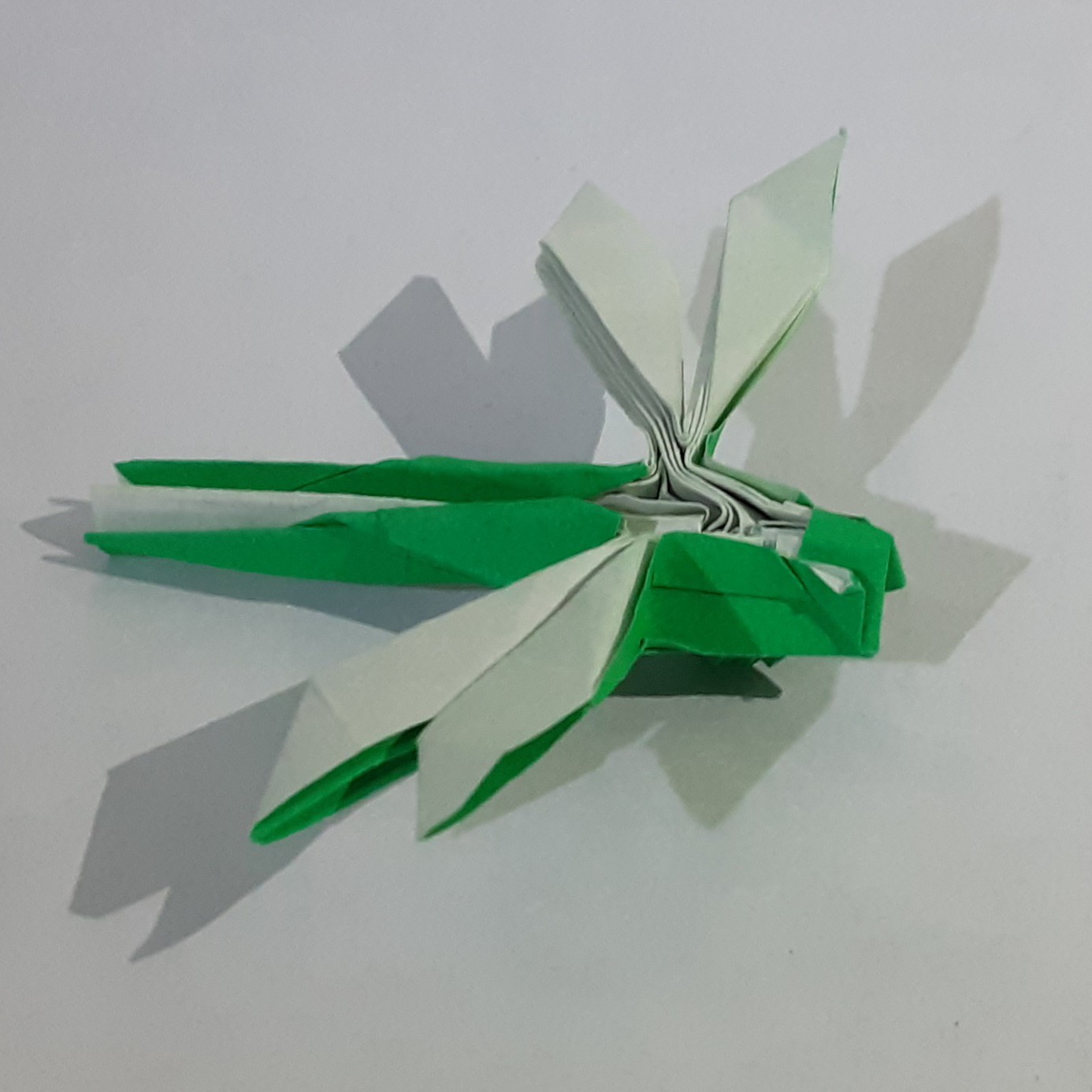 Origami Dragonfly by Jo Nakashima